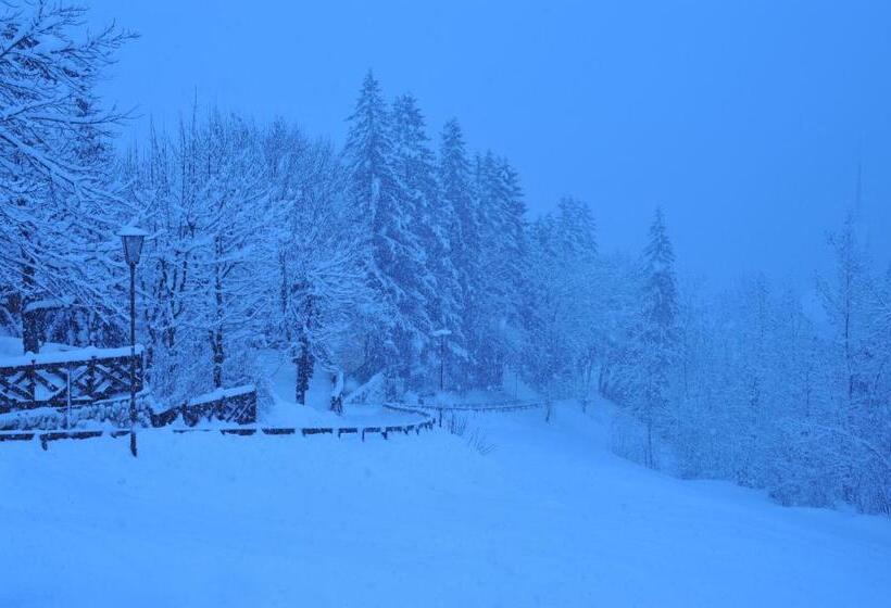 ホテル Garnì Carpe Diem