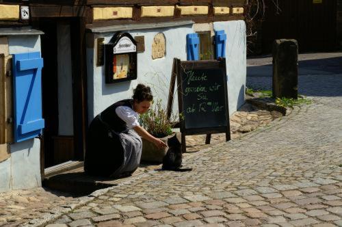 ホテル Spa Resort Landlust In Dresden