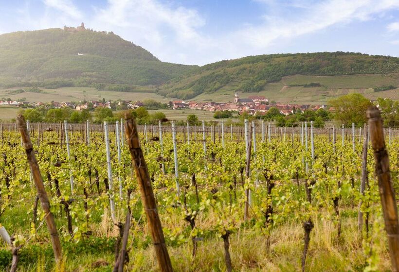 Отель Hôtel Valvignes Colmar Hautkoenigsbourg,the Originals Relais