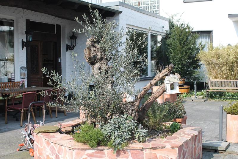 هتل Kölner Hof Refrath