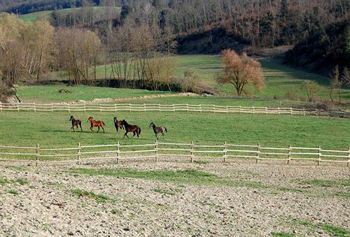 בית מלון כפרי Le Crete