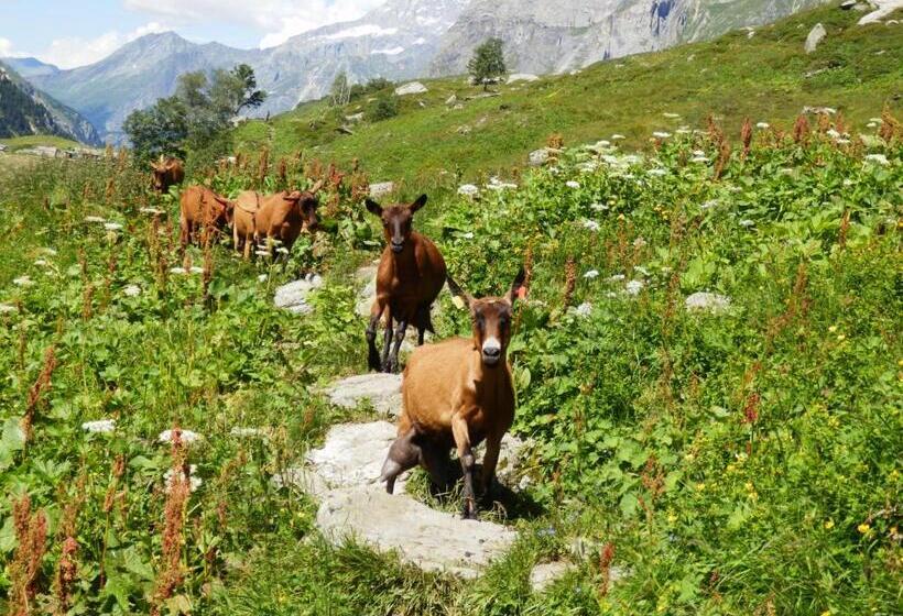 فندق Les Afforets