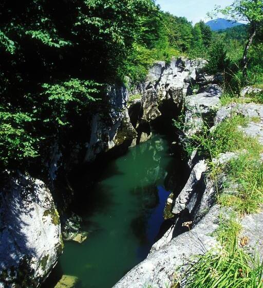 فندق Les Afforets