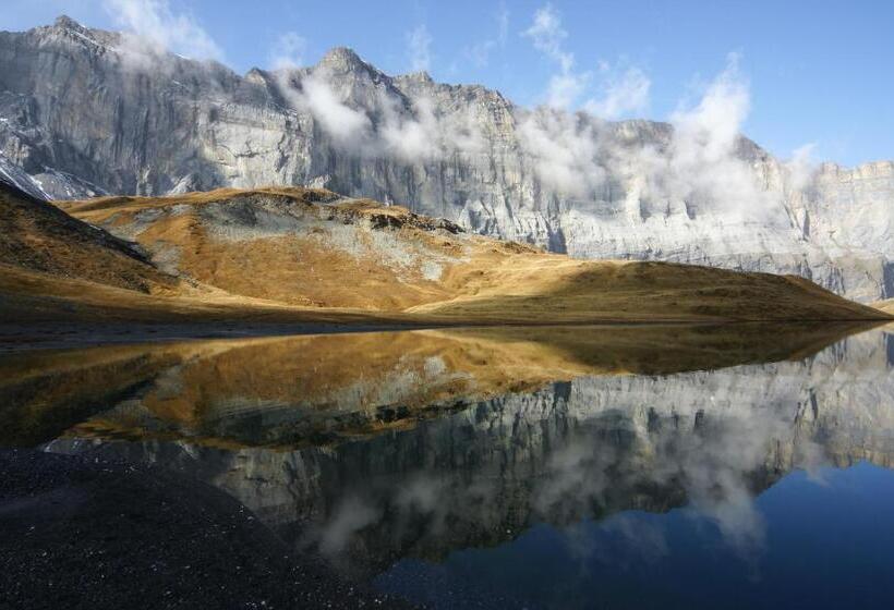 فندق Les Afforets