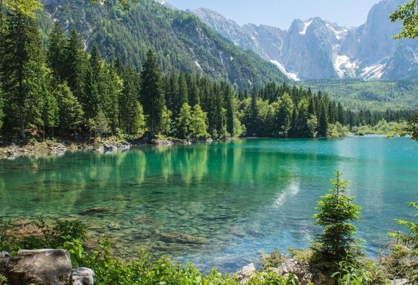 فندق Les Afforets