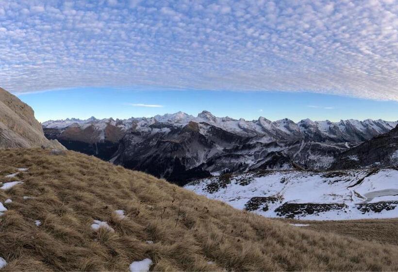 فندق Les Afforets