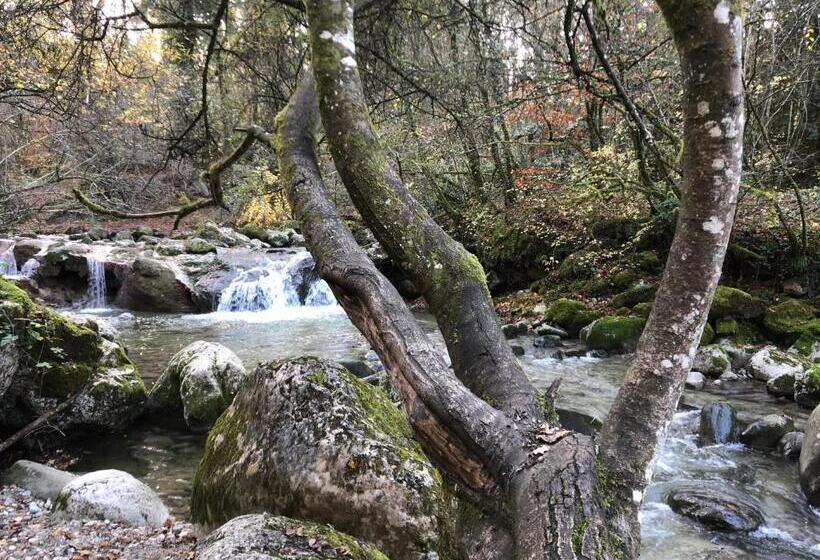 فندق Les Afforets