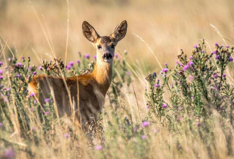 호텔 Logis Beau Séjour