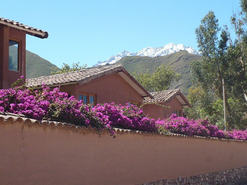 فندق Luna Rumi Lodge