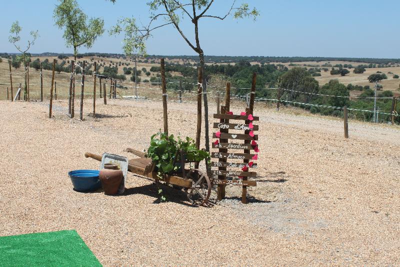 Отель O Gato & Spa