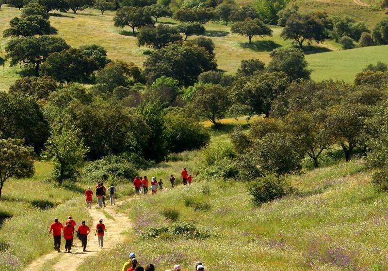 Отель O Gato & Spa