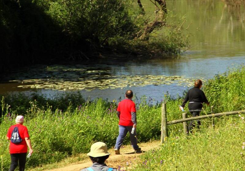 Отель O Gato & Spa