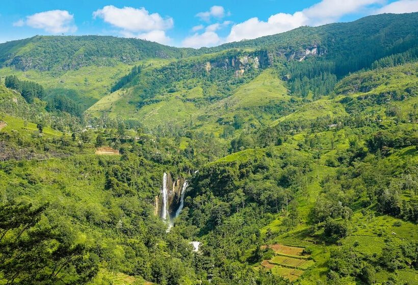 酒店 Oak Ray Tea Bush