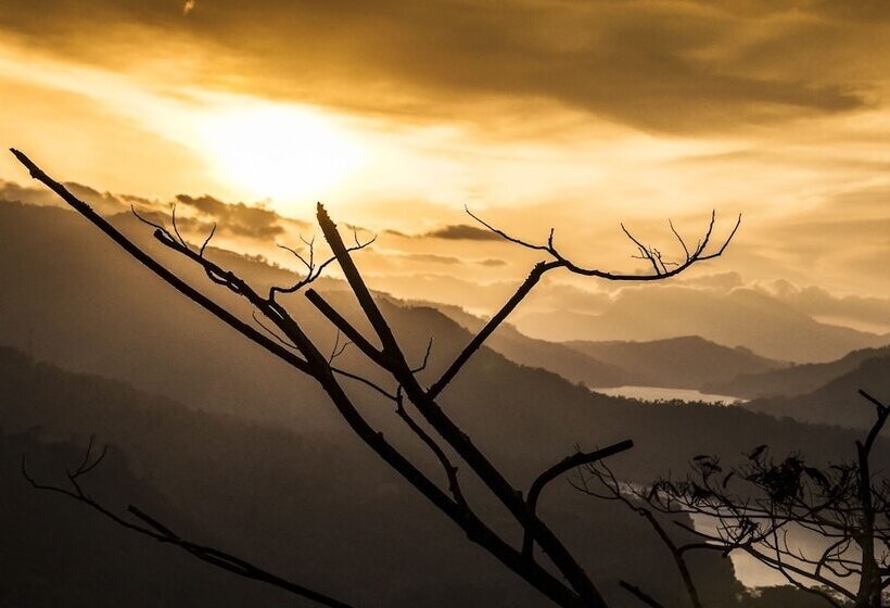 酒店 Oak Ray Tea Bush