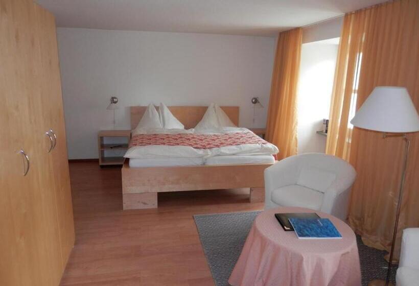 Отель Palazzo Mysanus Samedan