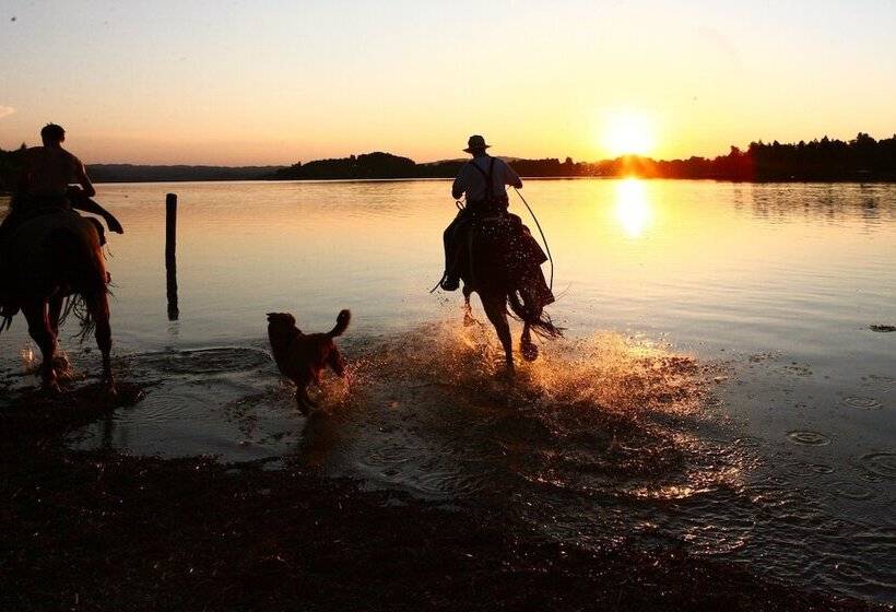 בית מלון כפרי Post Murnau