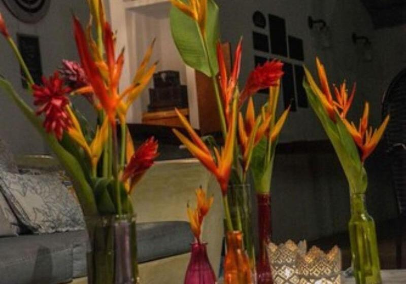 ホテル Pousada Jacarandá