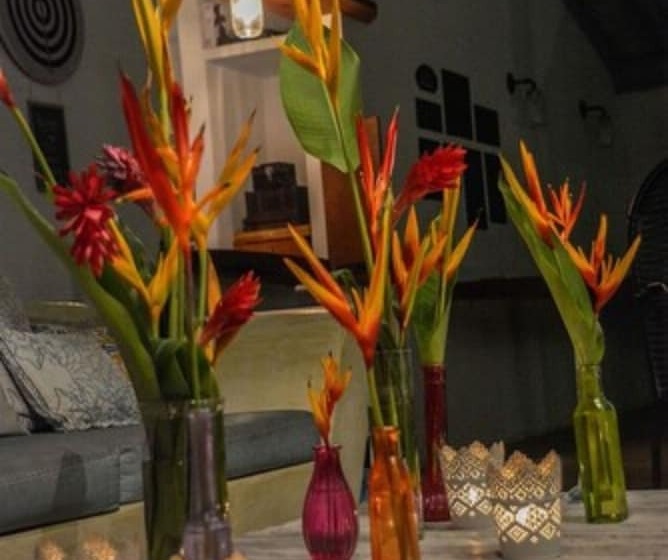 ホテル Pousada Jacarandá