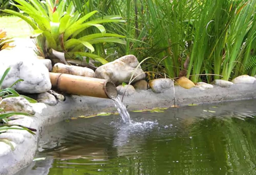 ホテル Pousada Jacarandá