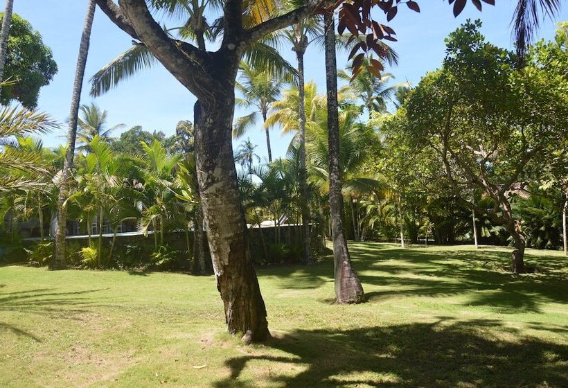 ホテル Pousada Jacarandá