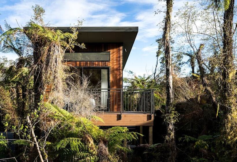 Отель Rainforest Retreat