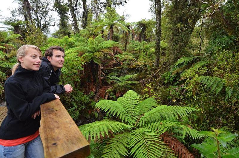 Отель Rainforest Retreat