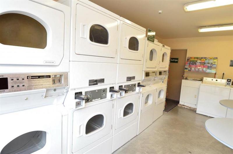 Отель Rainforest Retreat