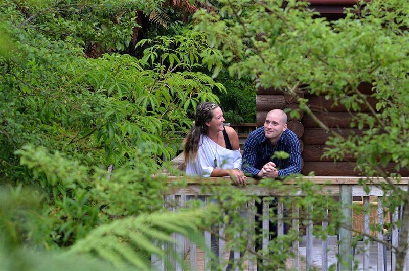 Отель Rainforest Retreat