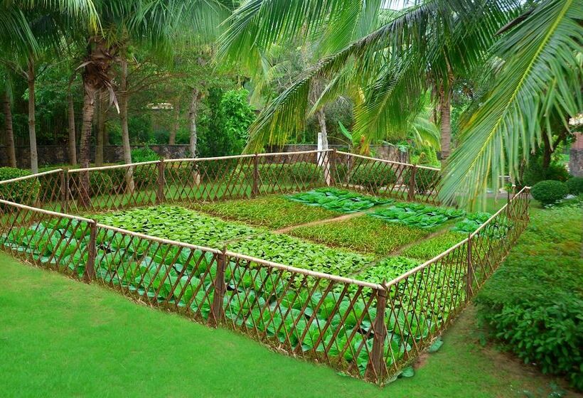 ホテル Sheraton Sanya Haitang Bay Resort