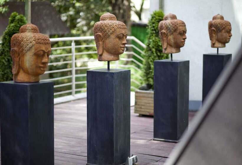 בית מלון כפרי Szara Willa