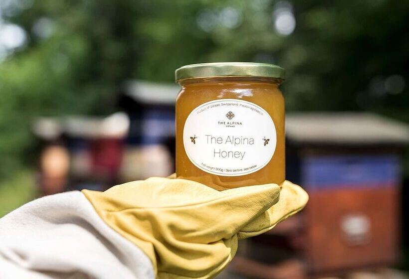 호텔 The Alpina Gstaad