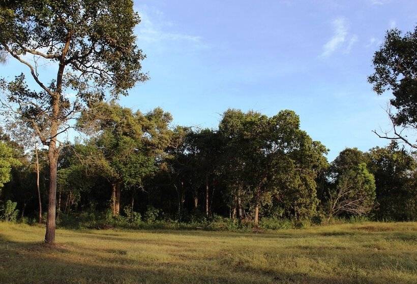 هتل The Cliff Resort & Residences