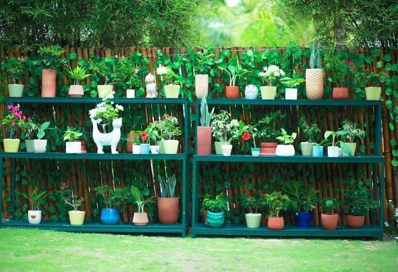 هتل The Cliff Resort & Residences