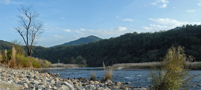 בית מלון כפרי The Hideaway River Lodge