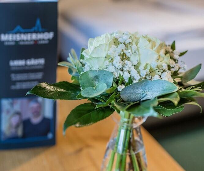 Пансион Meisnerhof