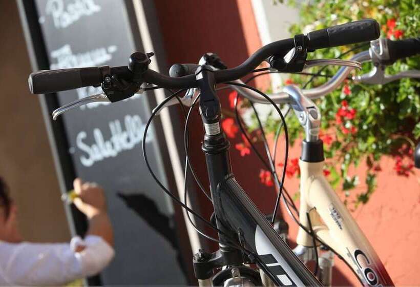 Schieners Hotel & Apfelhof Apartments