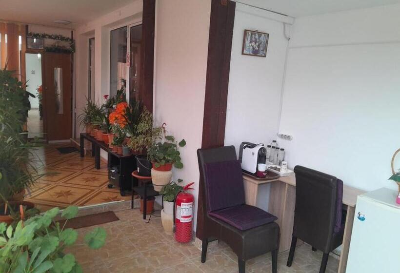 Old Pensiunea Otopeni