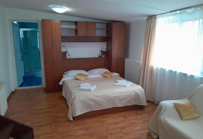 Old Pensiunea Otopeni