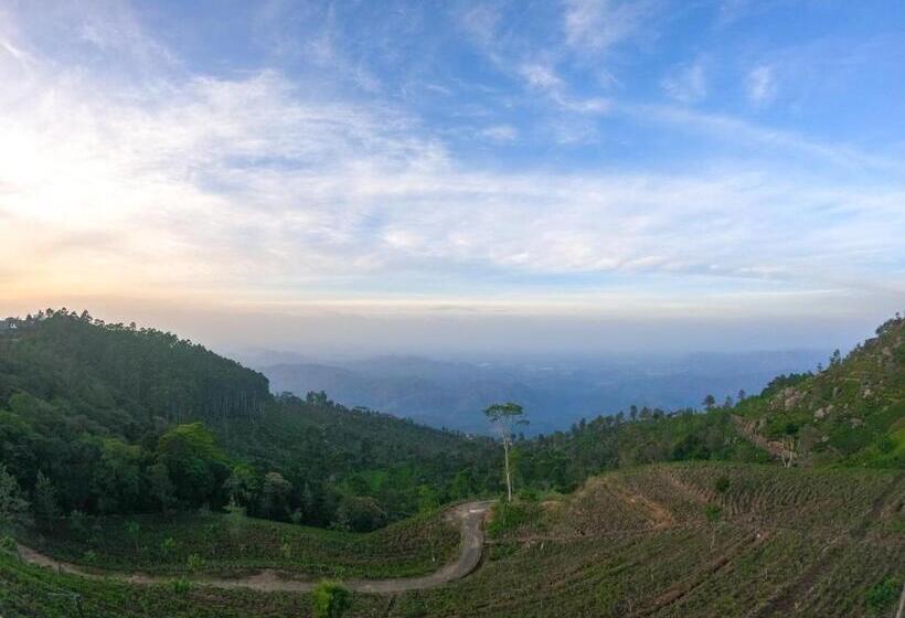 بنسيون Leisure Mount View