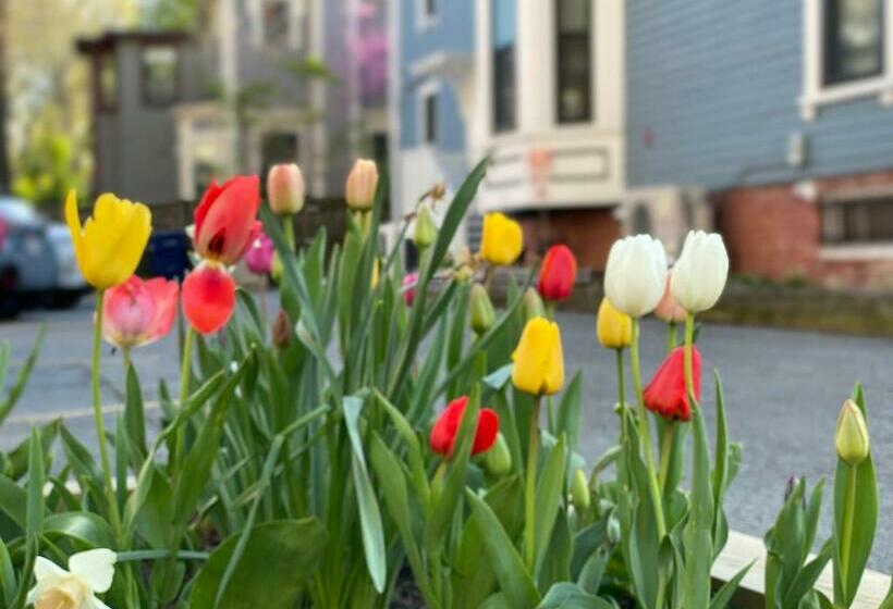 הוסטל Ginkgo House On Harvard