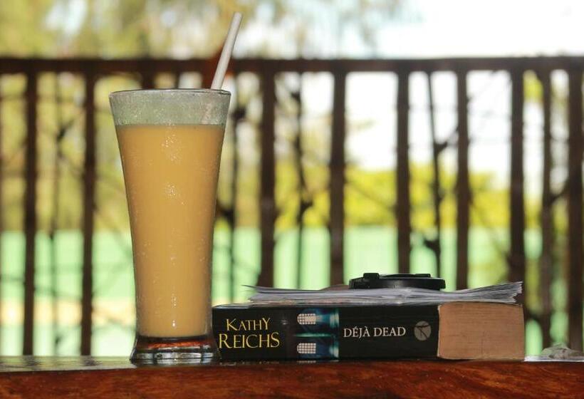 هاستل Villa Atlas Guesthouse