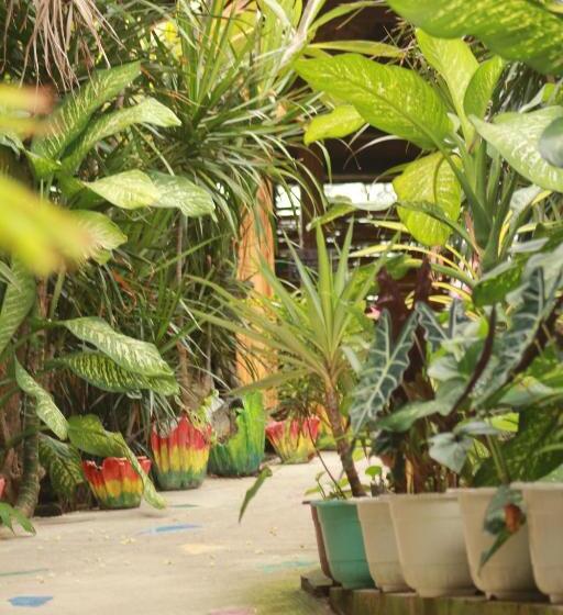 هاستل Villa Atlas Guesthouse