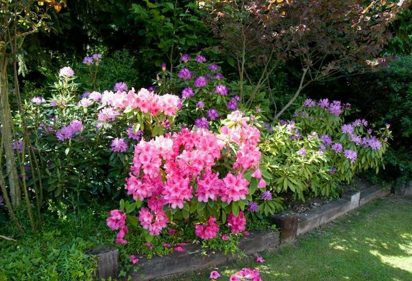 민박 Le Vieux Pressoir