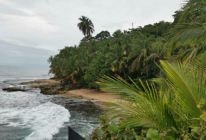 בית מלון כפרי Cabinas Mitchaelle S