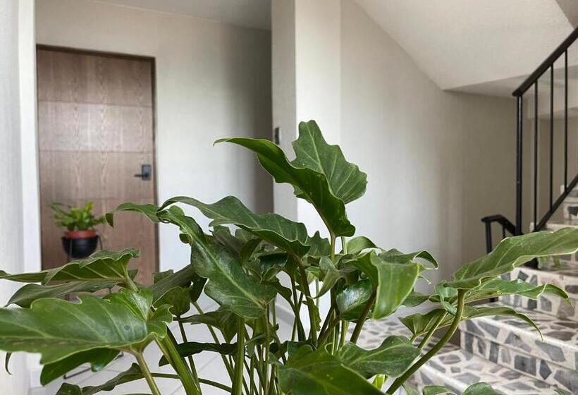 酒店 Estacion Alameda Downtown