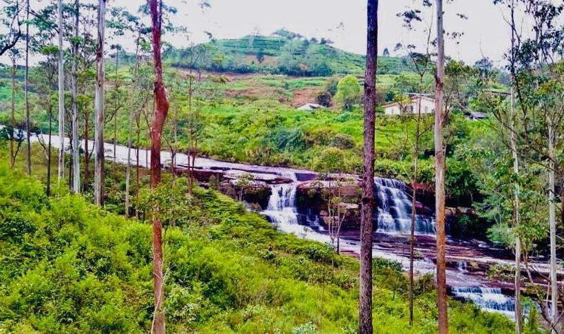 ペンション Riverside Guest House And Travels