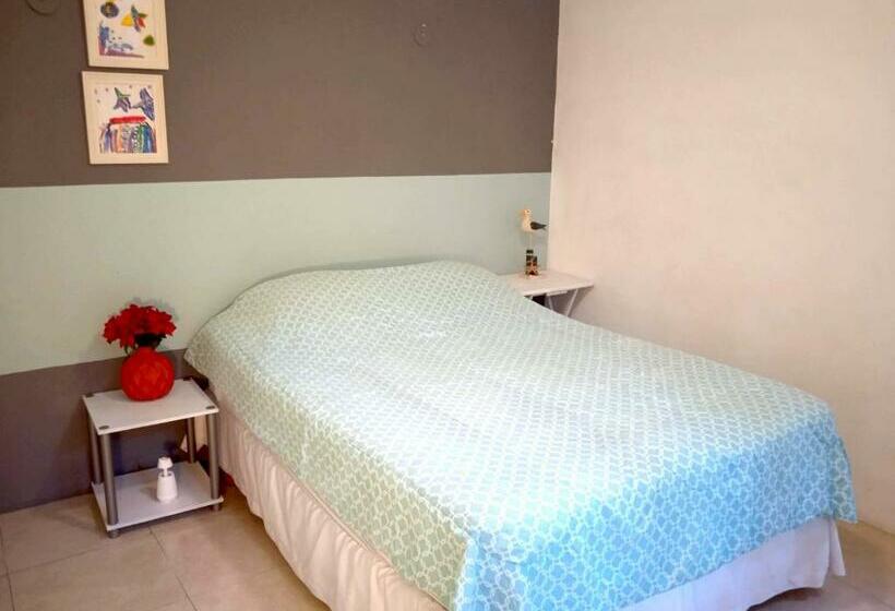 Пансион Room In Guest Room  Loft 9 In The Center Of Cancun