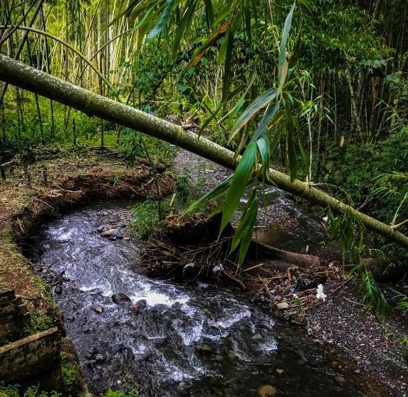 Пансион Room In Lodge Family Cabin With Lake View