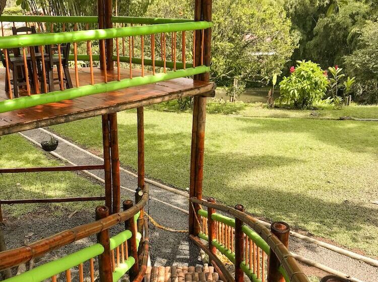 ペンション Room In Lodge   Tree House Finca La Floresta Verde
