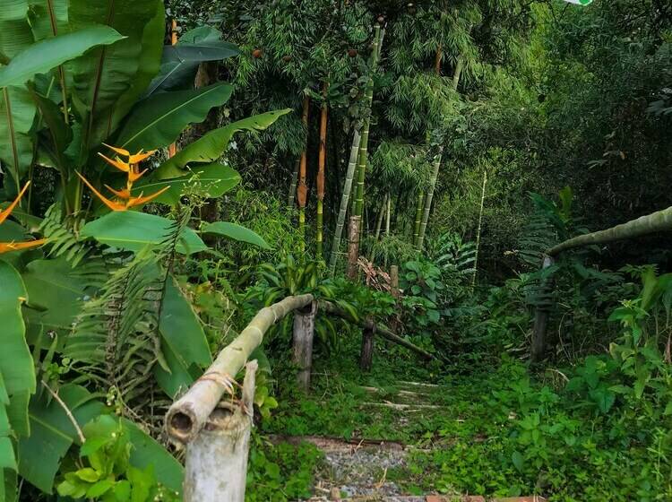 بنسيون Room In Lodge   Tree House Finca La Floresta Verde